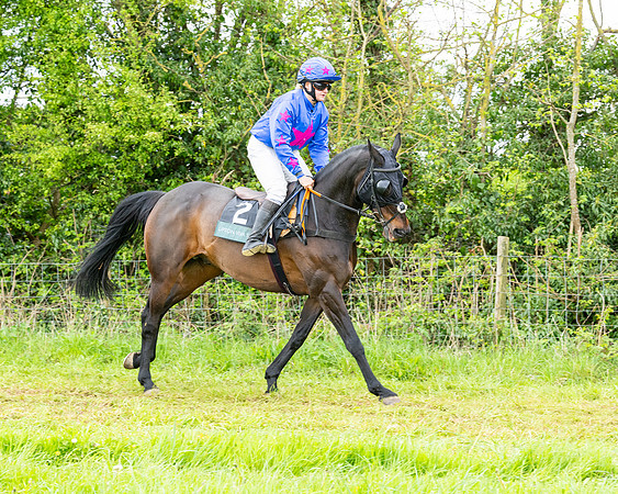 Race 2 - 2M4F Conditions (62 of 195)