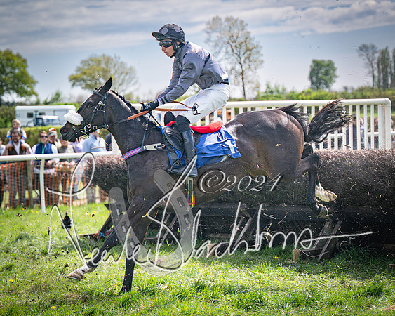Race 2 - The Elliott of London maiden race (79 of 137)
