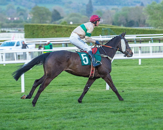 Race 7 - Glos Hussars  (68 of 245)