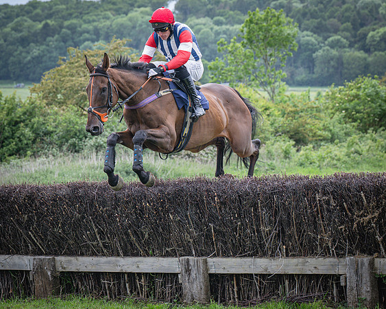 Race 6 - 2M4F Maiden (12 of 85)