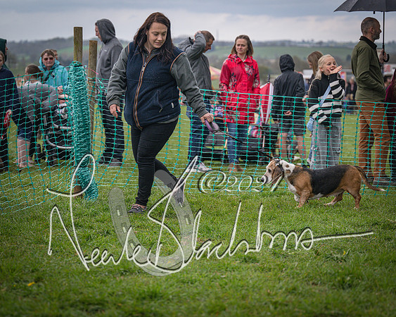 Bicester - Dog Show (13 of 106)