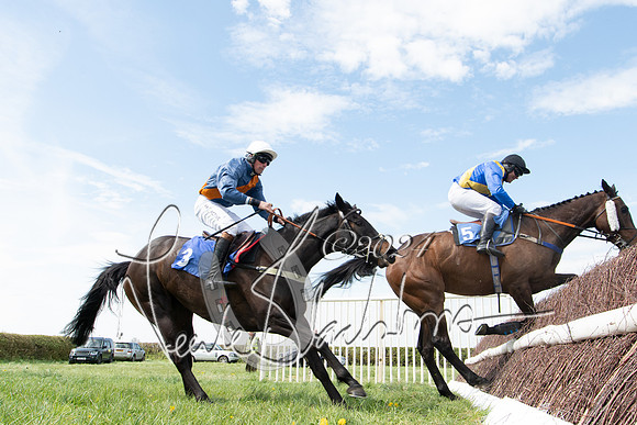 Race 2 - The Elliott of London maiden race (124 of 137)