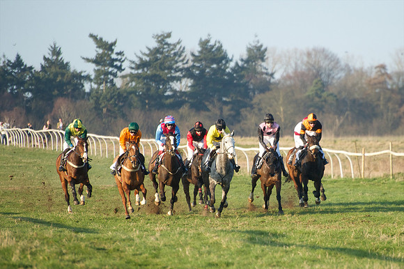 Races 6 - Open Maiden 43