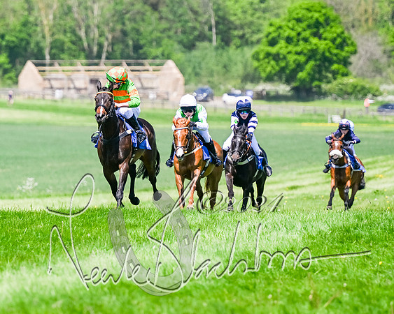 Pony Races  (42 of 141)