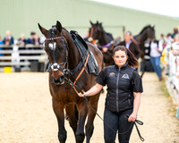 Race 2 - 2M4F Conditions (16 of 195)