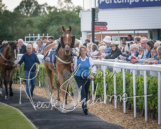 Race 3 - The pointtopoint.co.uk champion novices’ Hunter Chase (22 of 140)