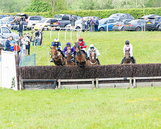Race 2 - Veteran Horse (30 of 80)