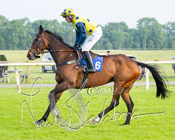 Race 5 - Peter Wright Handicap (7 of 117)