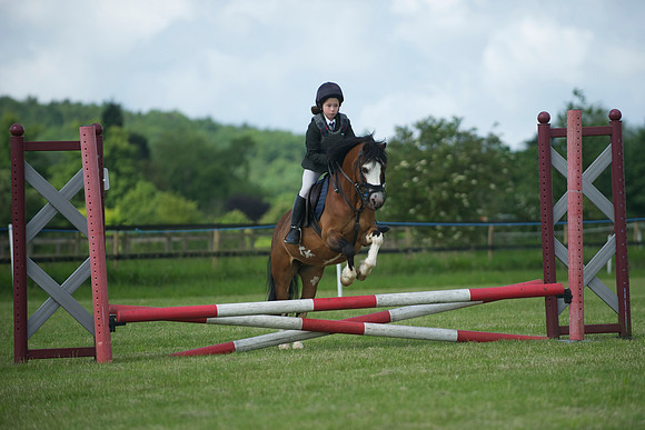 SOHS PC Summer Show at BCA 17th June 2012