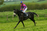 Race 5 - Restricted 10