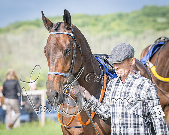 Race 6 - Thorn Plant Hire Maiden Race (21 of 129)