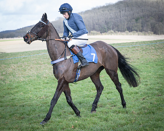 Race 5 - Home counties Grand National (52 of 194)