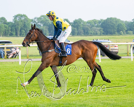 Race 5 - Peter Wright Handicap (6 of 117)