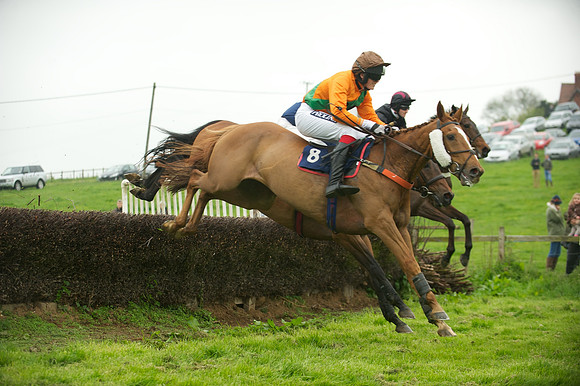 Race 2 - Novices 31