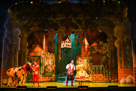 Swan Panto 2017