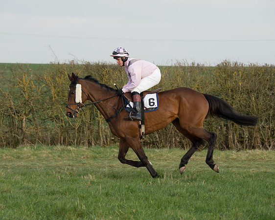 Race 6 - Open Maiden Race (21 of 99).jpg