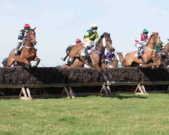 Race 2 - Open Maiden Div 2 (62 of 124).jpg