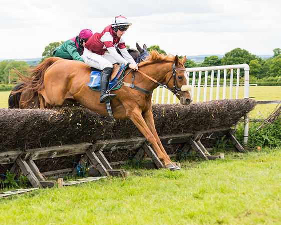 Race 1 - Owner Trainer Conditions  (102 of 133)