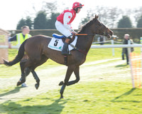 Race 5 - TBA members Mares and Fillies race (2 of 101).jpg
