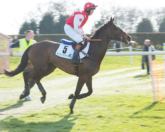 Race 5 - TBA members Mares and Fillies race (2 of 101).jpg