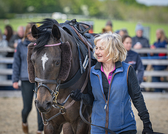 Race 2 - Winkworth conditions race 2m 4f (3 of 126)