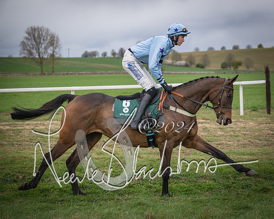 Race 6 - The Restricted Race (11 of 101)