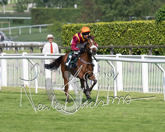 Race 1 - The Bottle Green Open Hunters steeplechase 2m62y (50 of 93)
