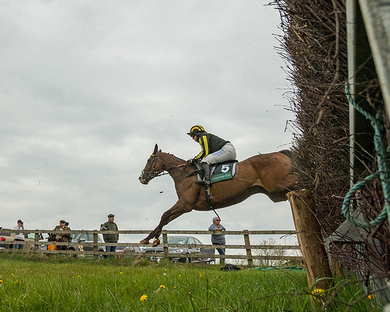 Race 2 - Jockey Club ROR veteran Horse (65 of 104)