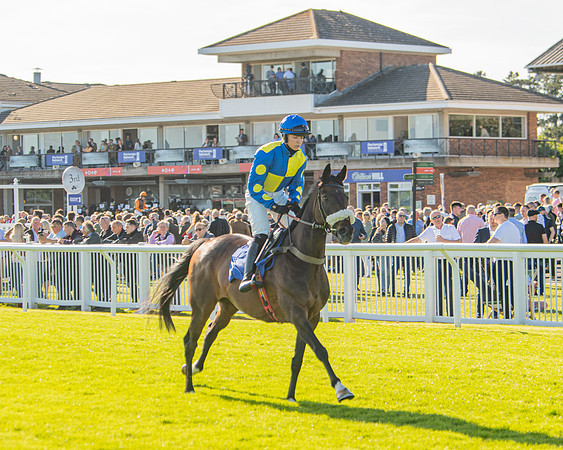 Race 2 - Nimrod Ladies Open (6 of 82)