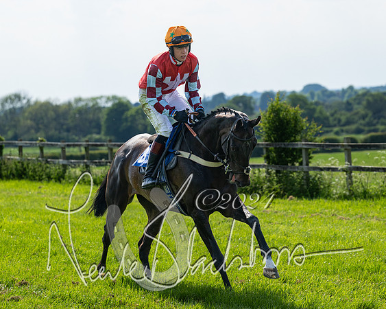 Race 5  - Maiden race 2m5F Div-1 (84 of 197)