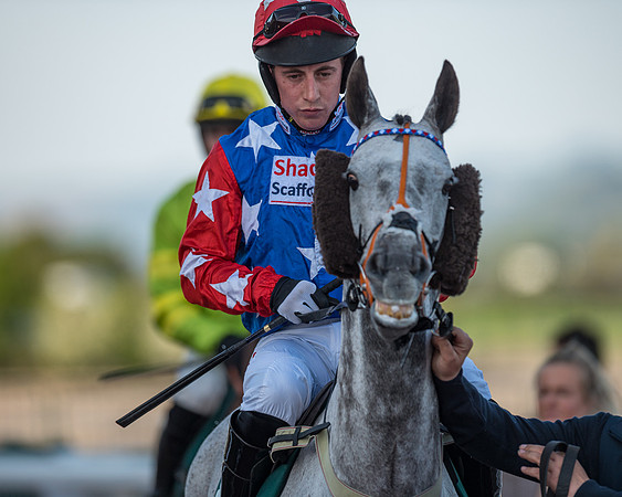 Race 3 - KTDA Hunters' Steeple Chase  (79 of 226)