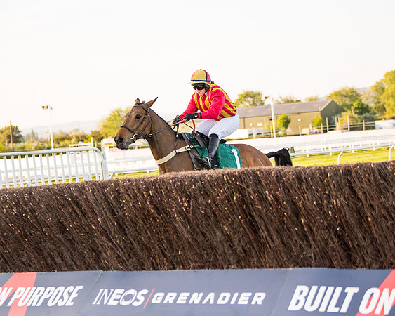 Race 5 - ITM Mares'  (49 of 181)