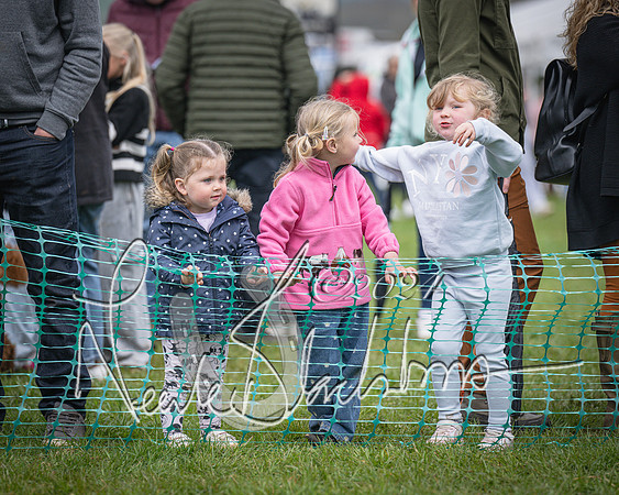 Bicester - Dog Show (60 of 106)