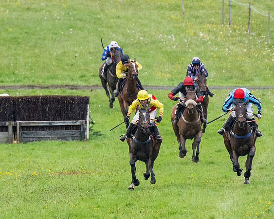 Race 8 - Bumper Div 2 (32 of 84)