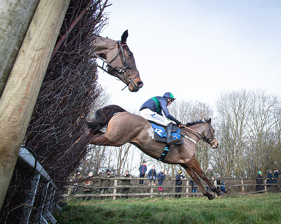 Race 2 - Maiden (110 of 145)
