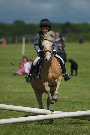 SOHS PC Summer Show at BCA 17th June 2012