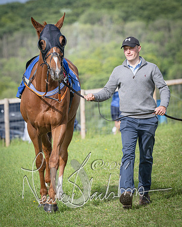 Race 6 - Thorn Plant Hire Maiden Race (5 of 129)