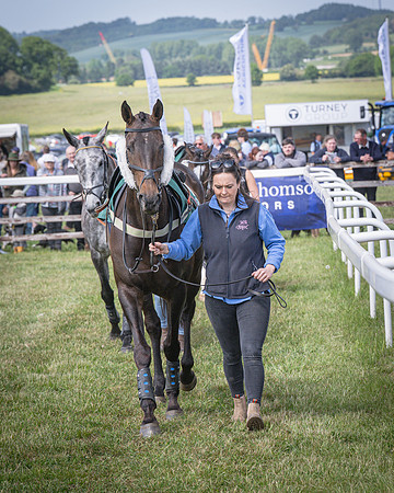 Race 2 - The Maiden (19 of 126)
