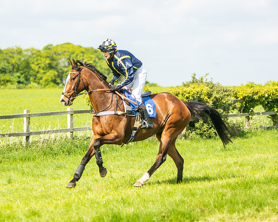 Race 4 - Ladies Open  (8 of 79)