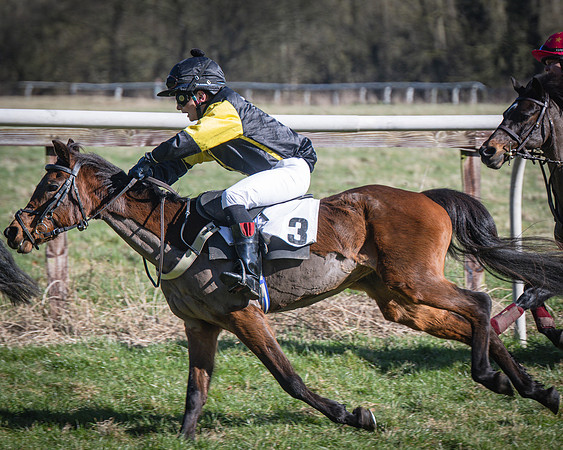 Pony Races (43 of 112)