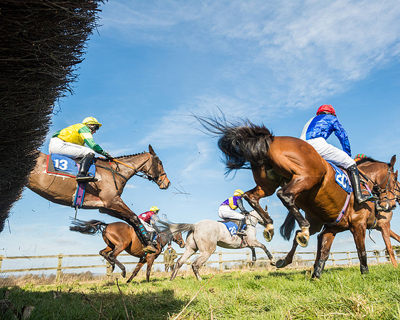 Race 1 - Open Maiden Division 2 (72 of 173)