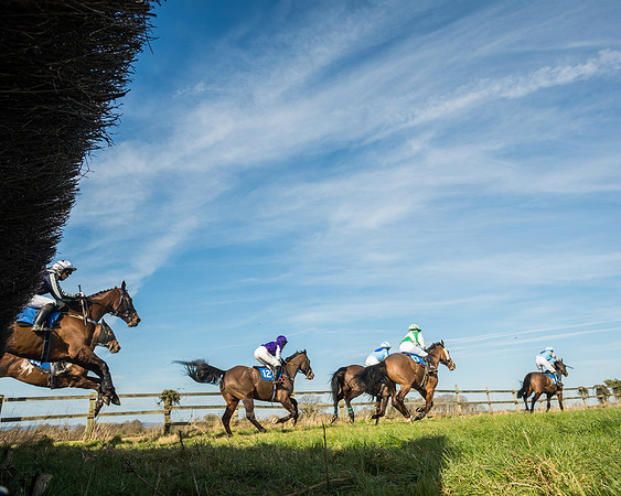 Race 3 - Ladies Open (54 of 156)