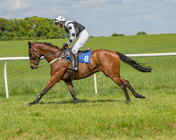Race 2 - Restricted  (36 of 90)