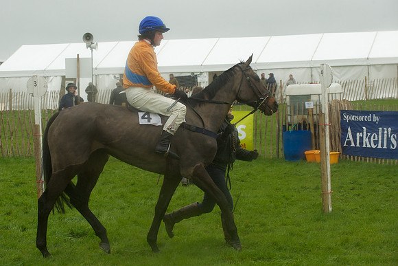 Race 5 - Restricted 9