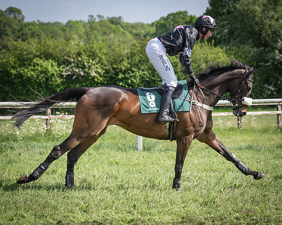 Race 5 - Restricted (46 of 116)