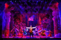 Swan Panto 2017