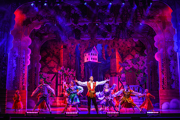 Swan Panto 2017