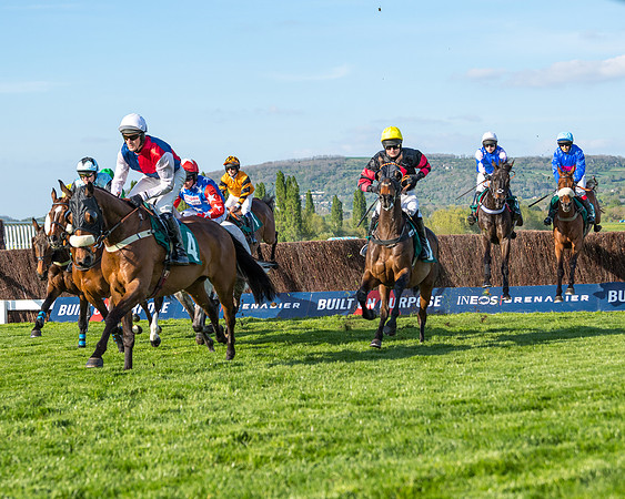 Race 3 - KTDA Hunters' Steeple Chase  (113 of 226)