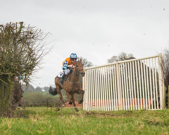 Pony Race 3 (66 of 67)