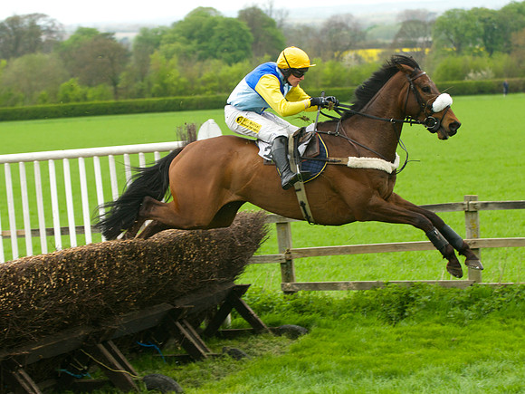 Kimblewick Hunts Point to Point at Kingston Blount Racecourse on Saturday 12th April 2014 Race 1 Confined Hunts Race.